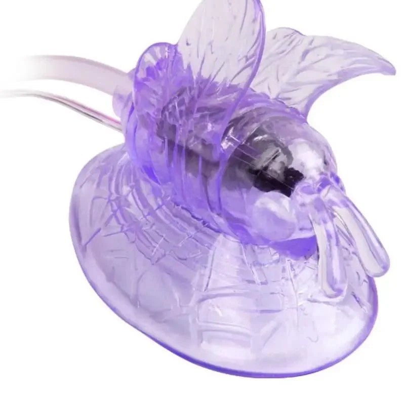 BAILE–LILAKLITORISSTIMULATIONVIBRIERENDERSCHMETTERLING