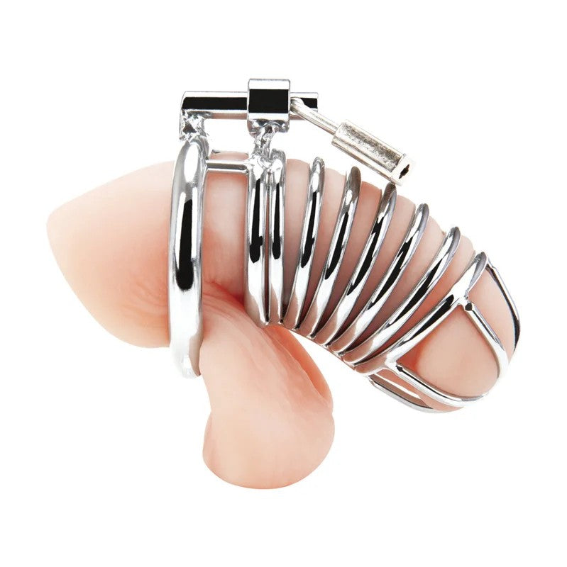 BLUELINEC&BGEARDeluxeChastityCage