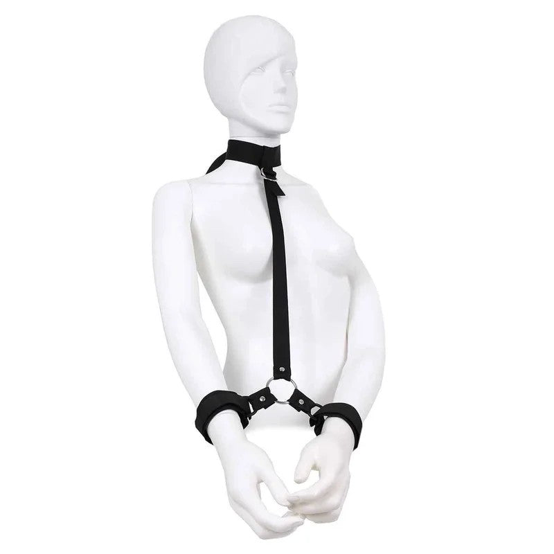 BudgetCollar&WristRestraints