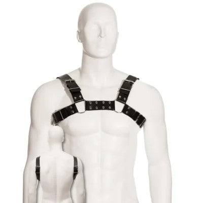 BulldogHarnessSchwarz|Leatherbody