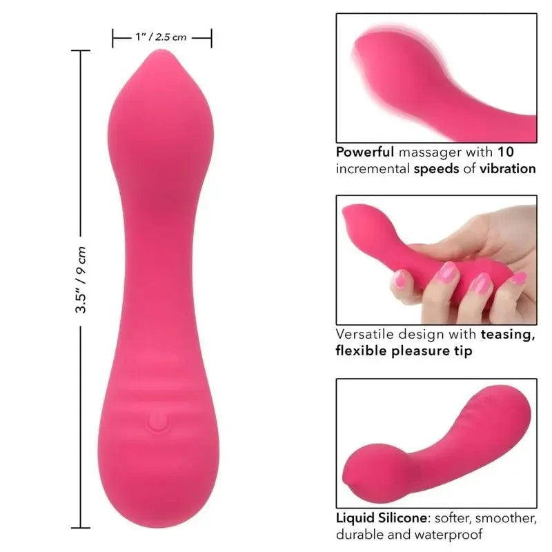 CALEXOTICS–PIXIESTEASERROSA