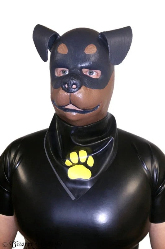 Doggylatexbandana/scarforangeblue