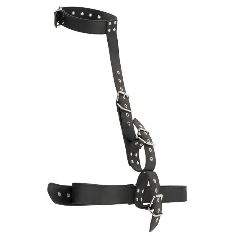 Fessel-SetinLeder-Optik