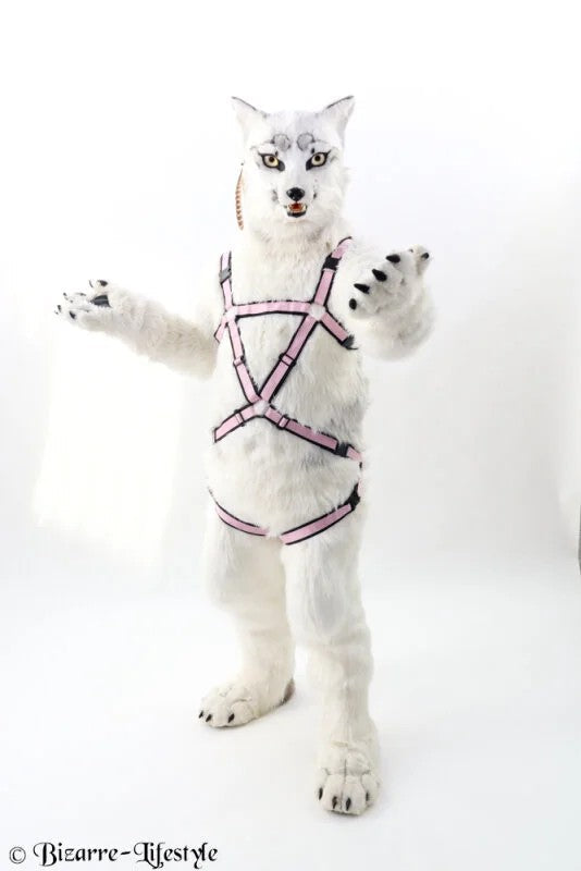 Fullbodyharness“Rocky”40mmwide,two-coloured