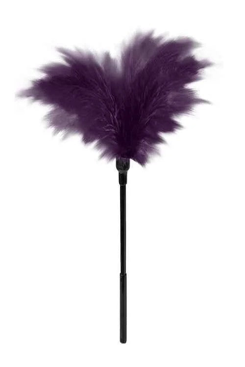 GPKleinerFederstab,purple