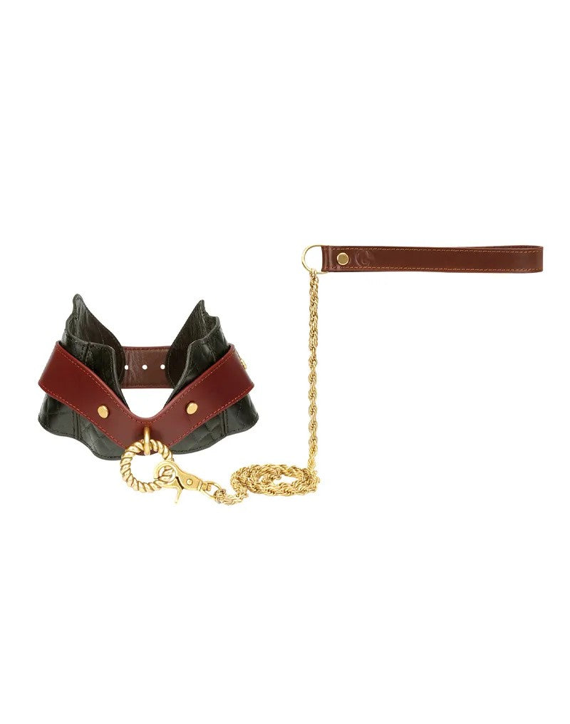 HaltungshalsbandausLedermitLeine–Schwarz,Braun&Gold