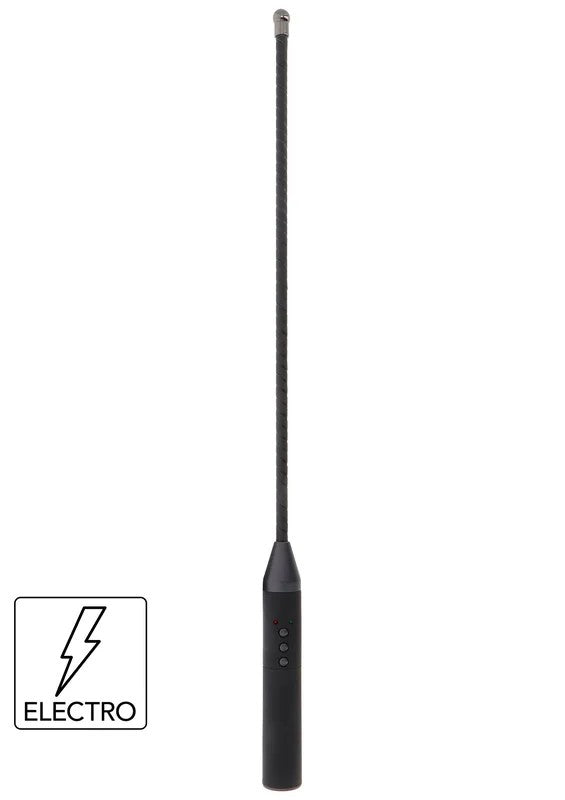 HiddenDesireExtremeElectroCane