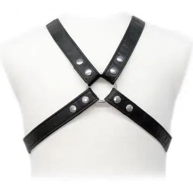 LEATHERBODY–LASICHARNESSINGEWAND