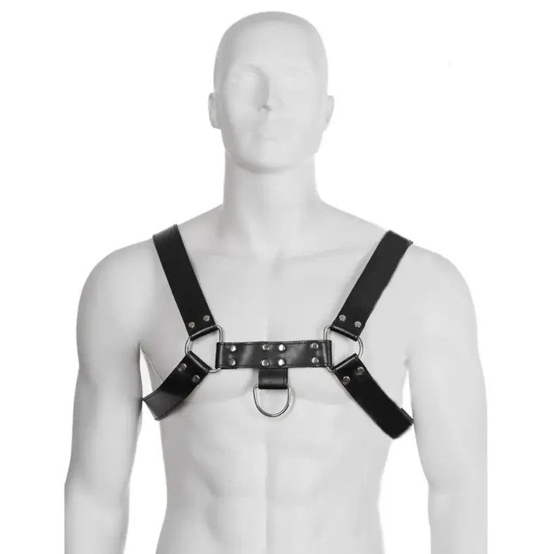 LEDERBODY?KETTENHARNESSIII