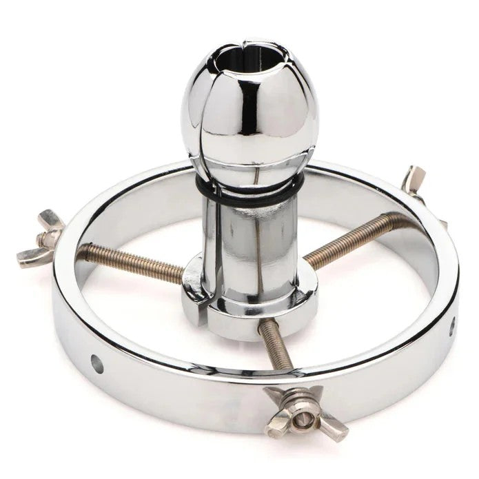 MasterSeries–AnalPlug„Explorer“