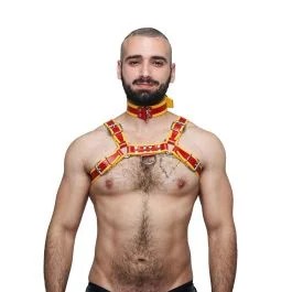 MisterBLeatherCircuitCollarRed-Yellow