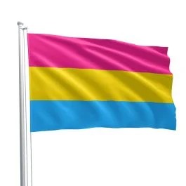 PansexualFlag90x150cm