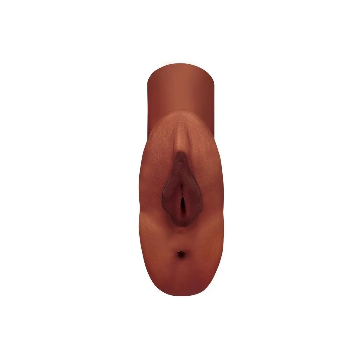 PERFECTPUSSYDOUBLESTROKERVAGINAUNDANUSMASTURBATORBRAUNVONPDXPLUS+