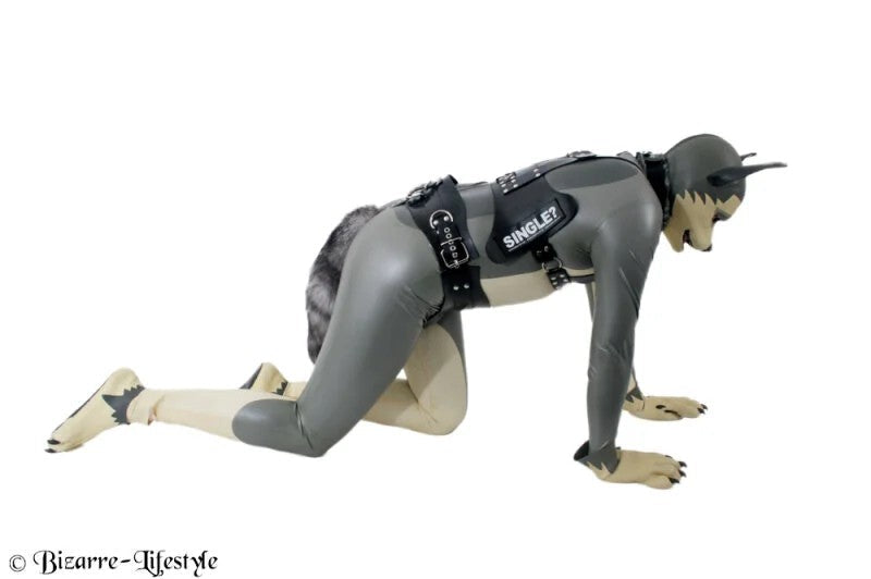 RubberDoggy/PuppychestharnessdeluxeSlockablewithvelcroforstickerwith1lockchromed