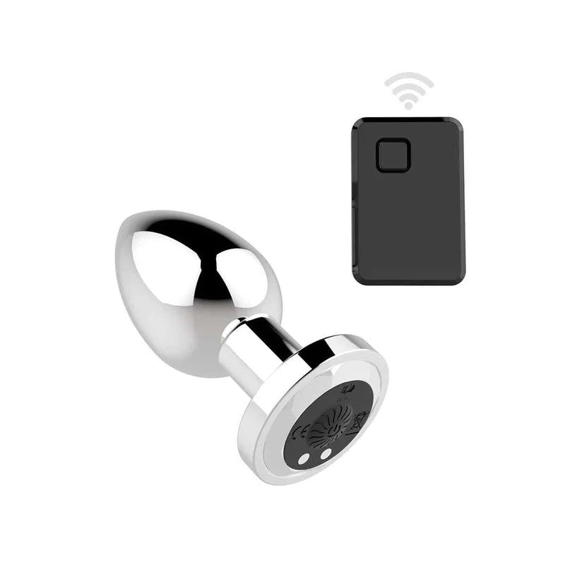 StainlessSteelButplugwithRemote