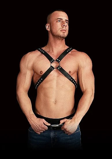Adonis–Harness