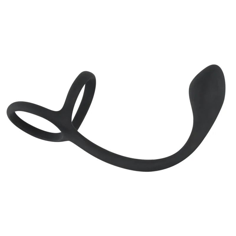 AnalplugmitPenis-undHodenring