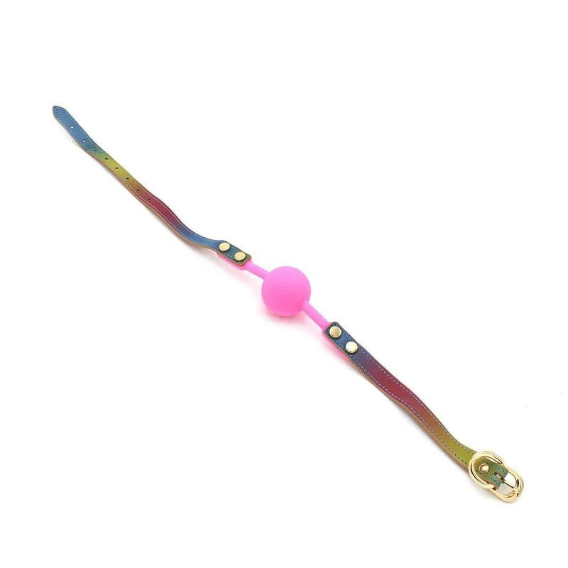 BallGagRainbow