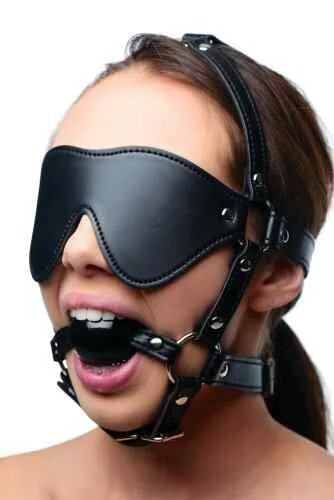 BlindfoldHarnessandBallGag