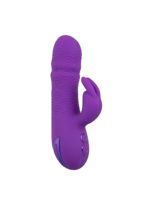 CalExoticsCaliforniaDreamingManhattanBeachMarvelPurple