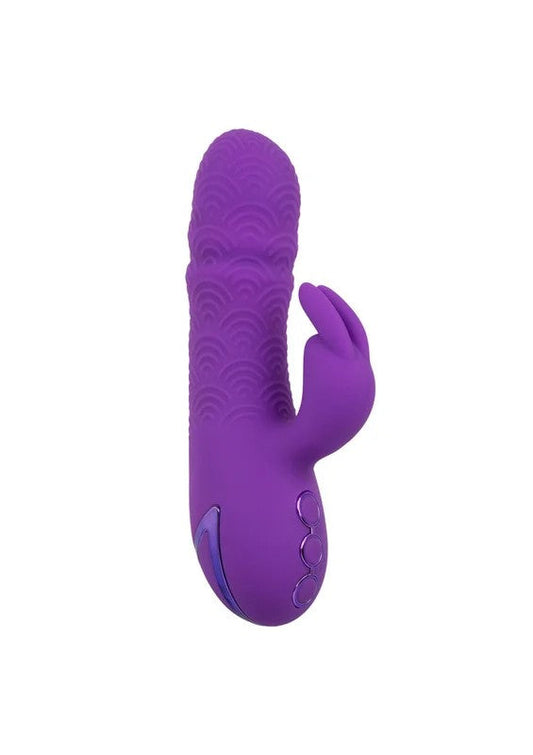 CalExoticsCaliforniaDreamingManhattanBeachMarvelPurple