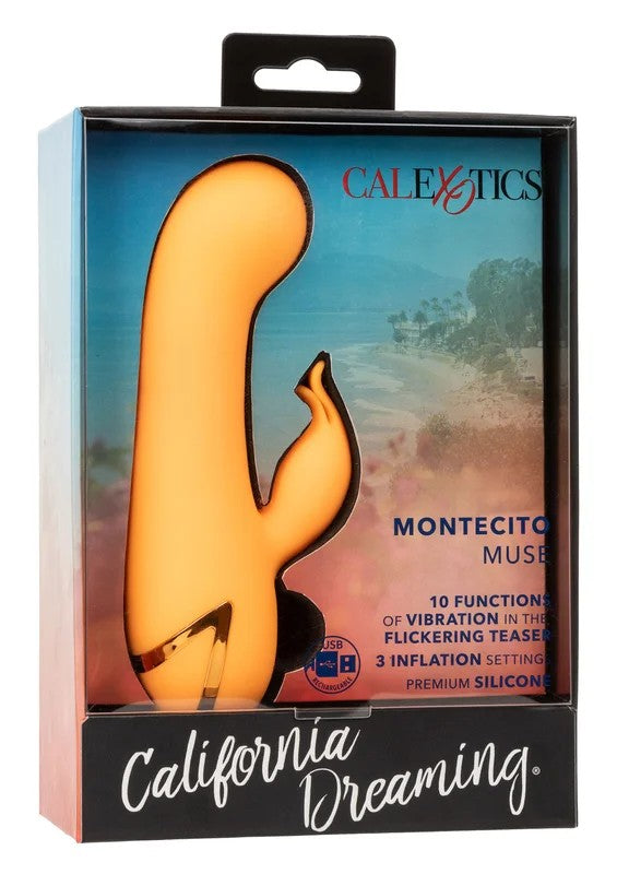 CalExoticsCaliforniaDreamingMontecitoMuse