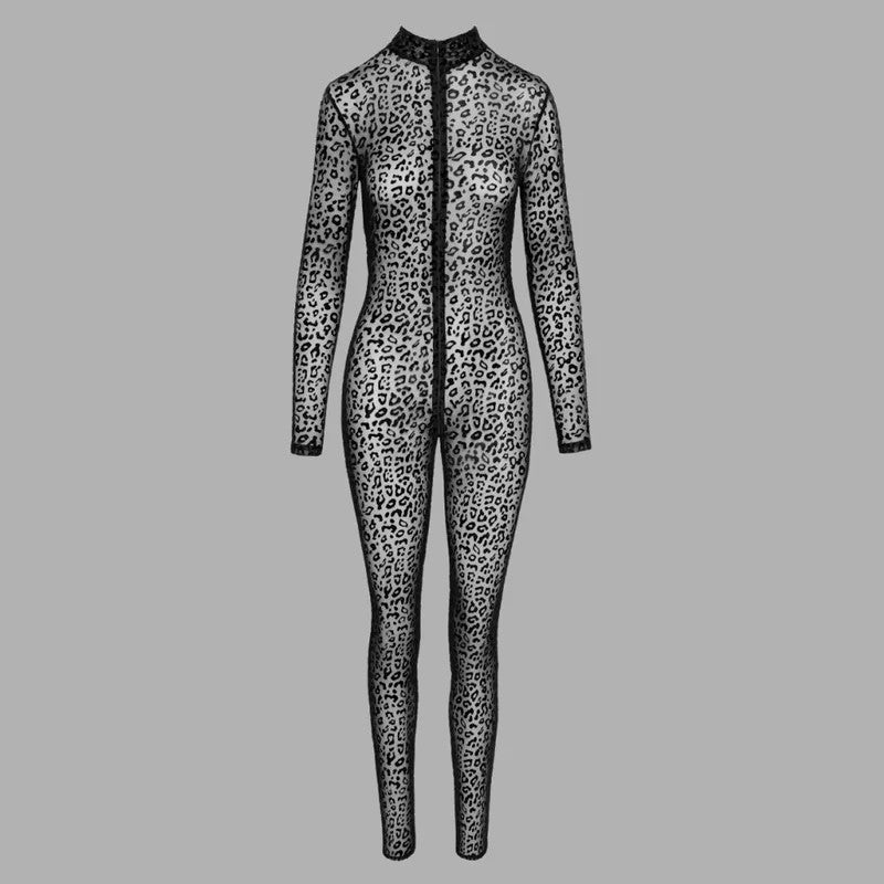 CatsuitimLeo-Look