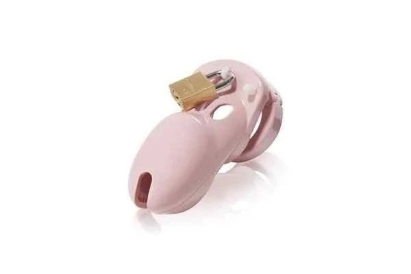 CB-XCB-3000KuisheidskooiRosa