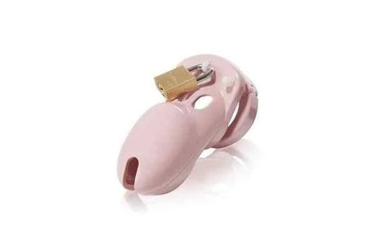 CB-XCB-3000KuisheidskooiRosa