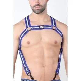 Cellblock13RogueXHarness–Blue