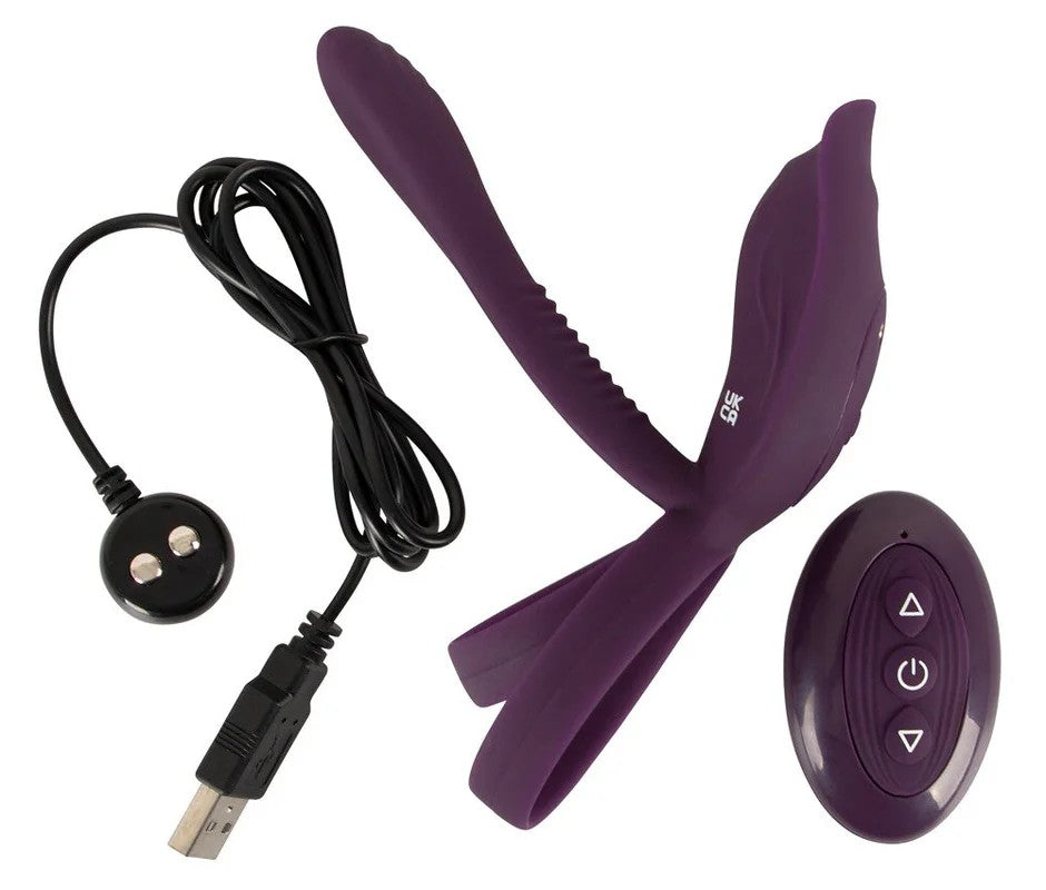 CouplesChoiceRCCouple´sVibrator2