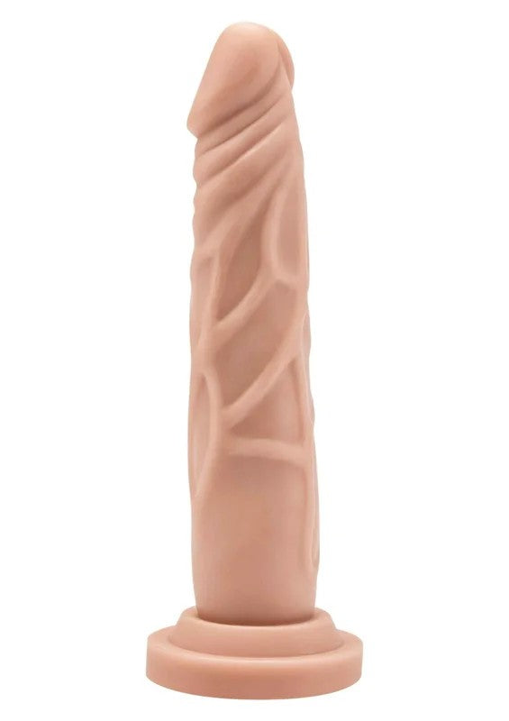 DongSkin18cm