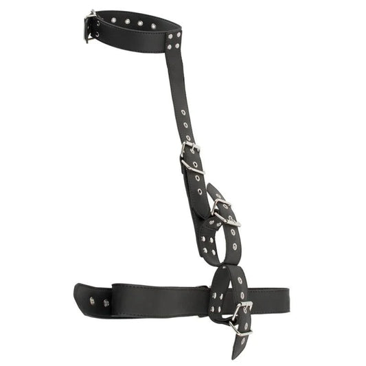 Fessel-SetinLeder-Optik