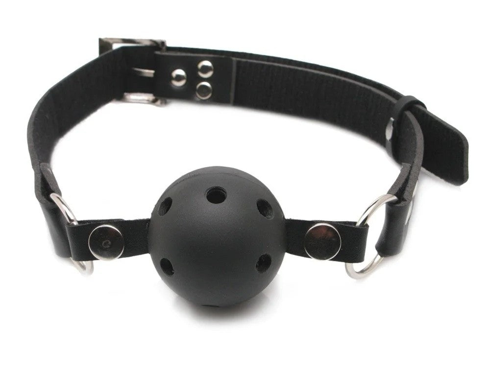 FetishFantasySeriesLimitedEdition–BreathableBallGag