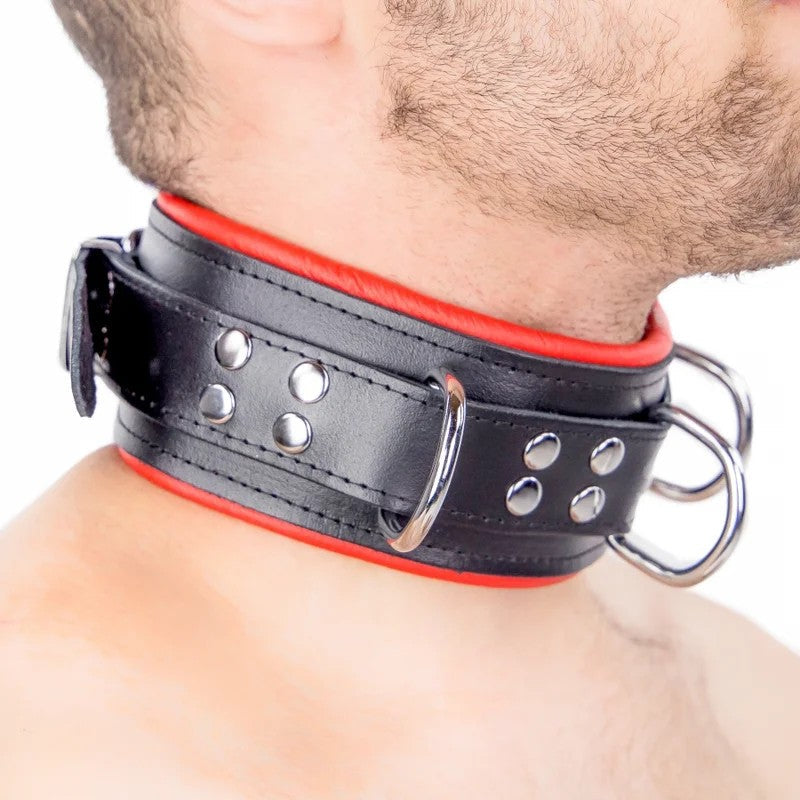 GepolstertesLederhalsbandmit3D-RingenRot