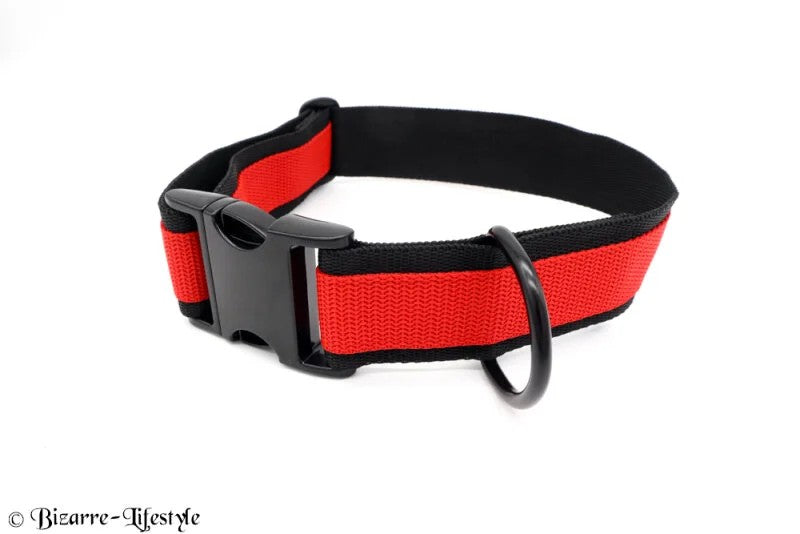 Halsbandzweifarbig
