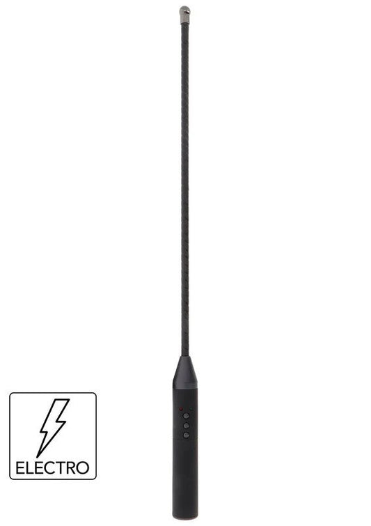 HiddenDesireExtremeElectroCane