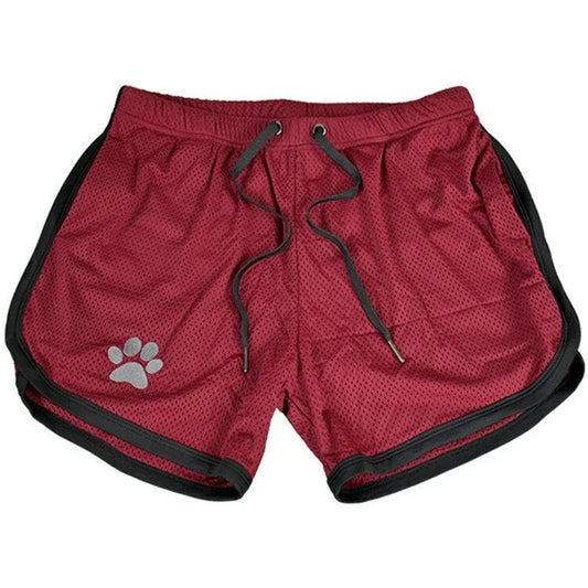 KinkyPuppyPawShortsBordeaux-BlackL