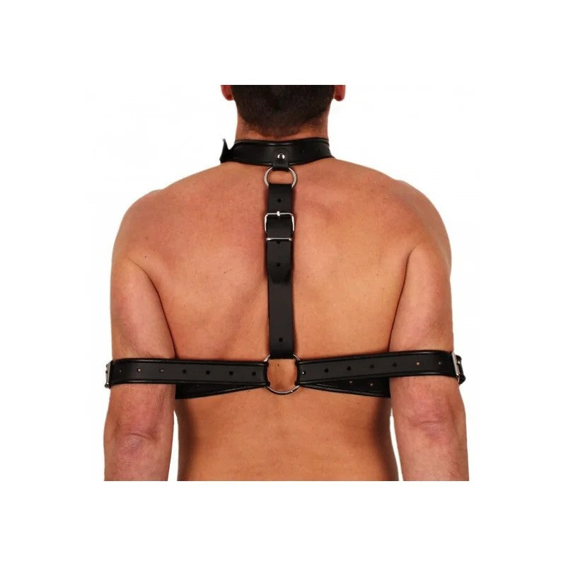 LeatherBondageandArmRestraintCollar
