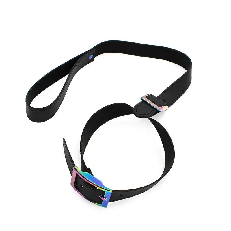 LeatherCollarwithleashRainbow
