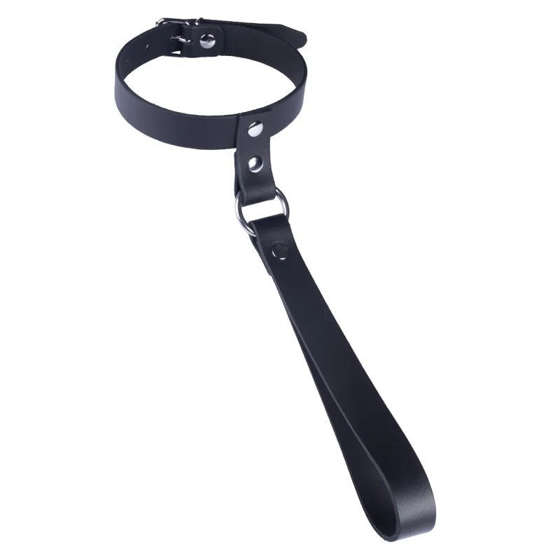LeatherCollarWithShortLeash
