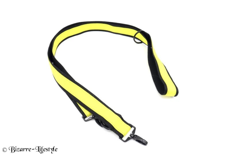 Leine40mmbreitzweifarbig