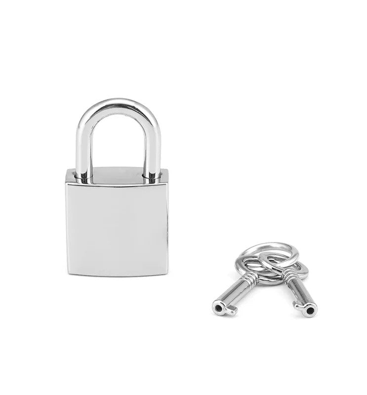 LiebeSeeleRegularSilverPadlock