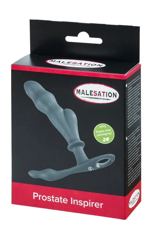 MALESATIONProstateInspirer