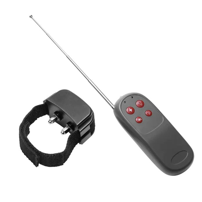 MasterSeries–CockShockEStimPenisring