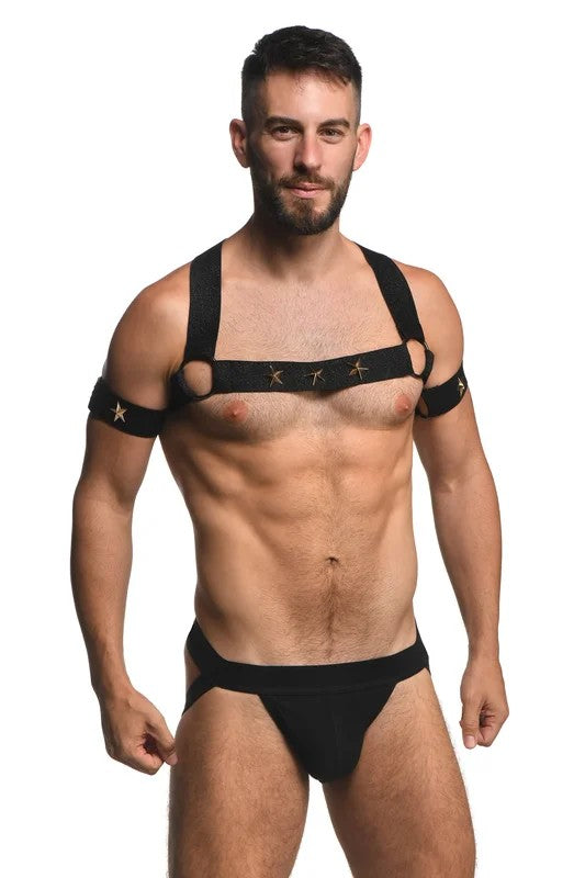 MasterSeriesRaveHarnessElasticChestHarnesswithArmBands
