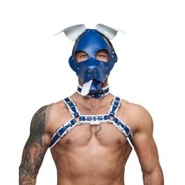 MisterBLeatherCircuitFloppyDogHood–BlueWhite