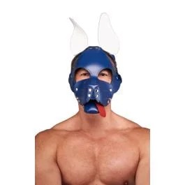 MisterBLeatherShaggyDogHoodCircuit–Blue-White