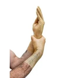 MisterBPremiumRubberShortGlovesTranspa