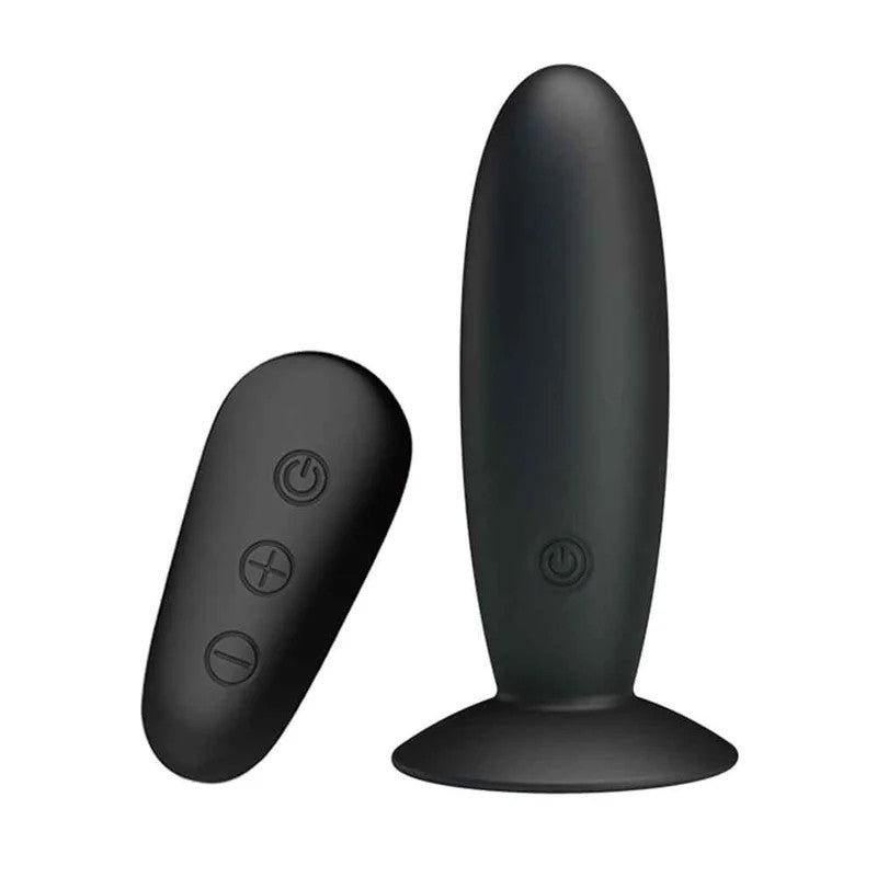 Mr.PlayVibratingAnalPlugModern